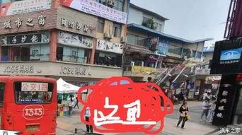 街头骗术新闻爆料,新闻爆料揭示常见诈骗手段