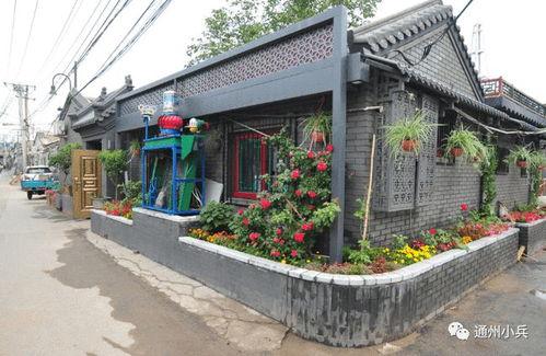 东方不败优化最新爆料2025,揭秘神秘力量与未来动向